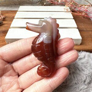 Gorgeous Small Carnelian Seahorse Carving